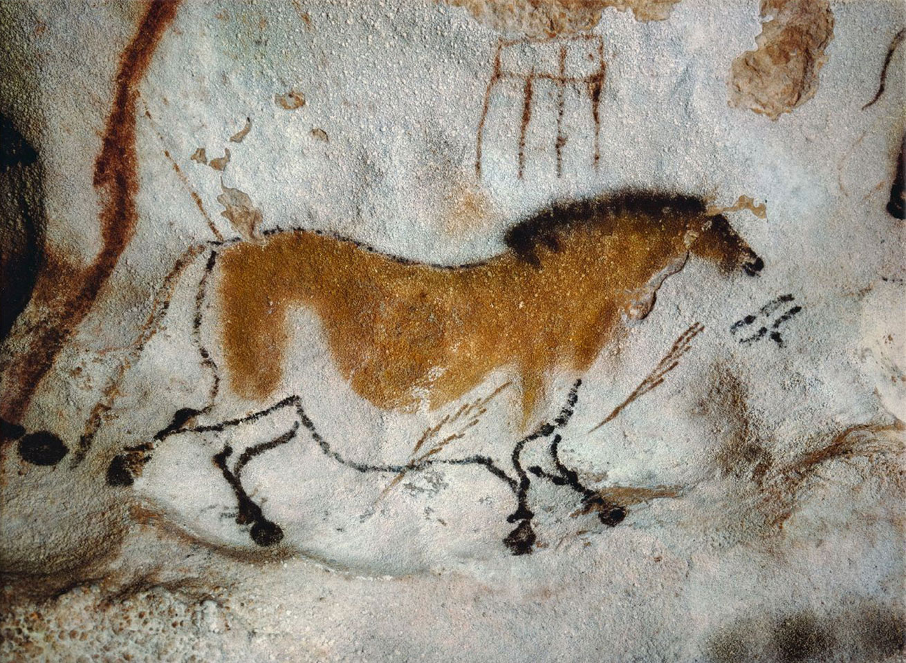 Bild eines Pferdes in den Höhlen von Lascaux. Höhlenmalerei